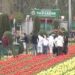 Tulip Garden resonates with vibrant electoral awareness programme