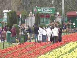Tulip Garden resonates with vibrant electoral awareness programme