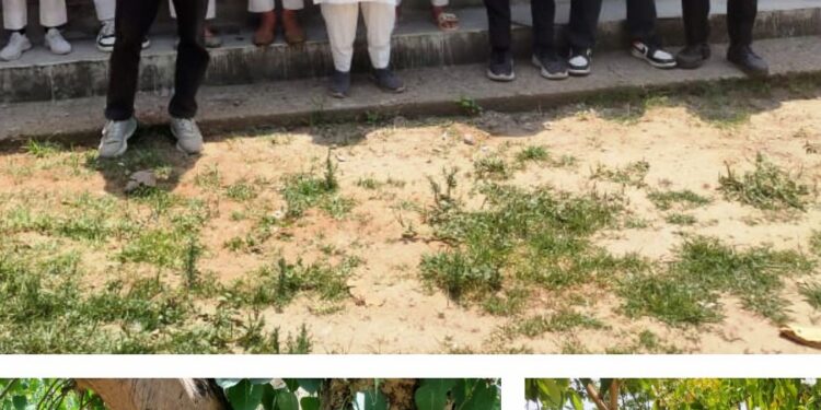 GDC Ramgarh organises campaign to provide Water to Birds
