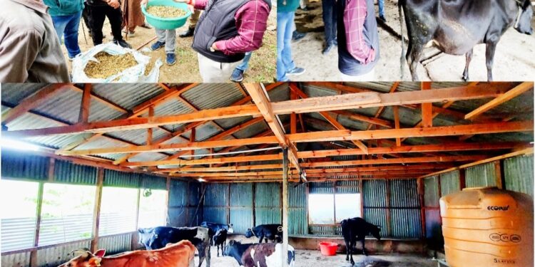 DDC inspects Cow Shelter in Kishtwar Town