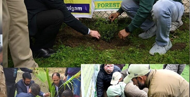 Lok Sabha Elections-2024 Plantation drive brings life to 364 Kulgam polling stations under SVEEP