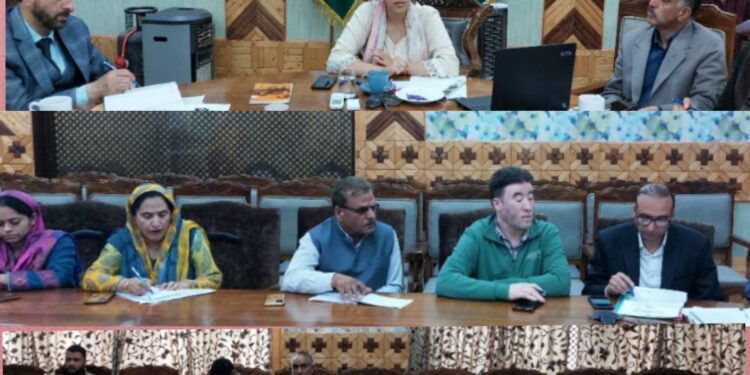 Lok Sabha Elections 2024: DEO Kupwara reviews poll preparedness in Special Polling Stations