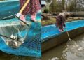 Jammu Kashmir Witnesses Aquatic Boom as educated youth embrace pisciculture