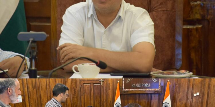 DC Bandipora chairs DLIC meeting under HADP