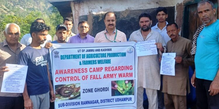 Awareness campaign organized across districts to combat Fall Armyworm threat