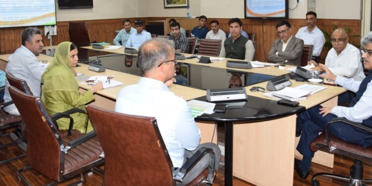 Chief Secretary reviews development projects of Culture Department