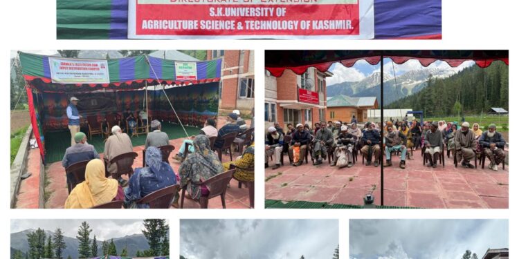 Potato Seed Distribution held at Izmarg Gurez Station of SKUAST-K