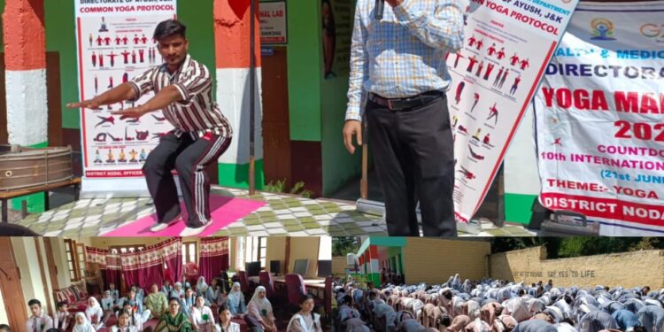 Mega Yoga Camp held at Batote