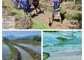 300 Flood affected irrigation canals, Khuls restored/ renovated in Kupwara under MGNREGA convergence Farmers heave sigh of relief