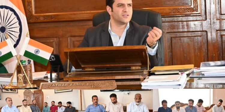 DC Kulgam chairs DLC meeting of HADP, approves 222 cases