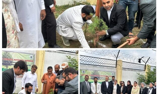 DLSA Srinagar cultivates a Greener Tomorrow at District Court with Mass Plantation Drive