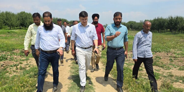 DDC B’la inspects progress of Pattan & Kanispora Bypass projects