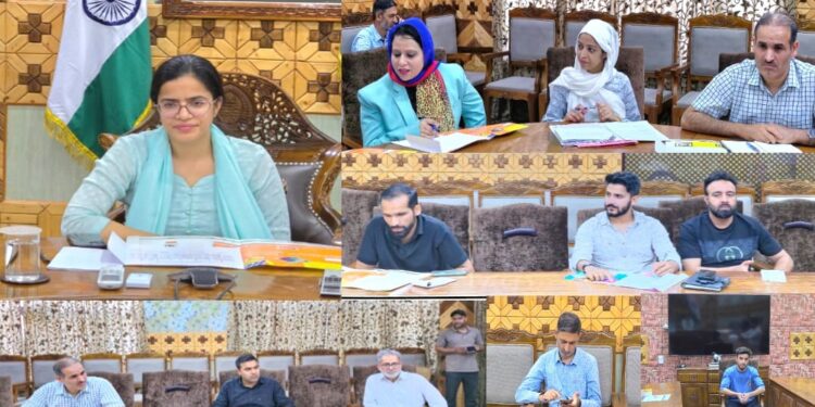 DLIC/ DLTFC approves 7 cases under SEI at Kupwara