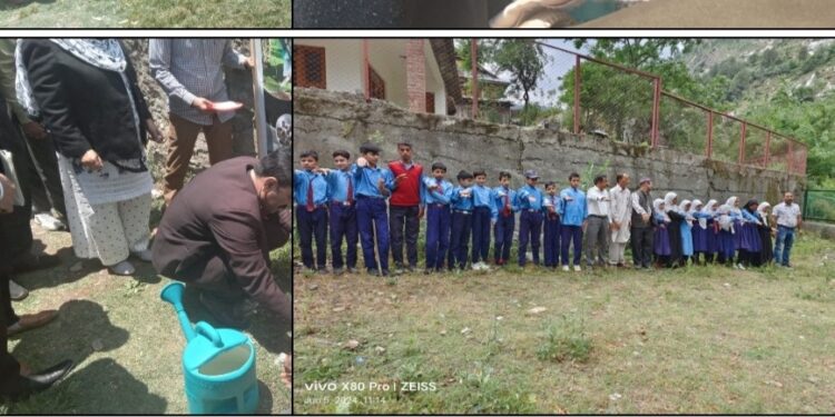 World Environment Day: TLSCs of Handwara, Tangdar conduct Plantation Drive