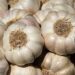 Kashmir Valley generates Rs 300 crores from bumper garlic harvest