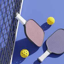 Pickleball makes its debut in Kashmir with first-ever clinic