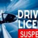 RCs of vehicles, Driving License suspended for violation of MV Act