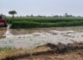 Agriculture Department promotes Green Manure to restore Default Organic Status of Basmati in R.S. Pura