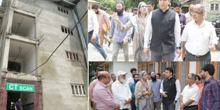 DC Srinagar undertook visit to City Hospitals; takes stock of their functioning