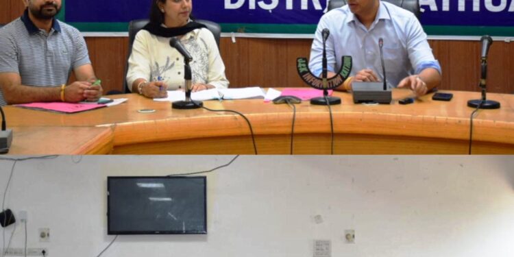 DC Kathua approves 56 mission youth scheme cases at DLC meeting