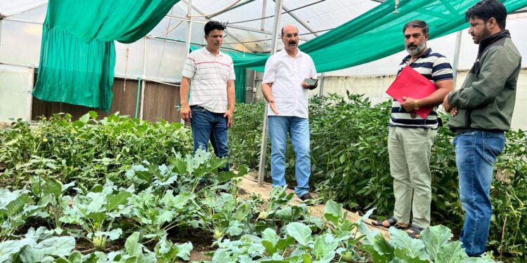 Director Agriculture takes stock of agriculture scenario in Ganderbal