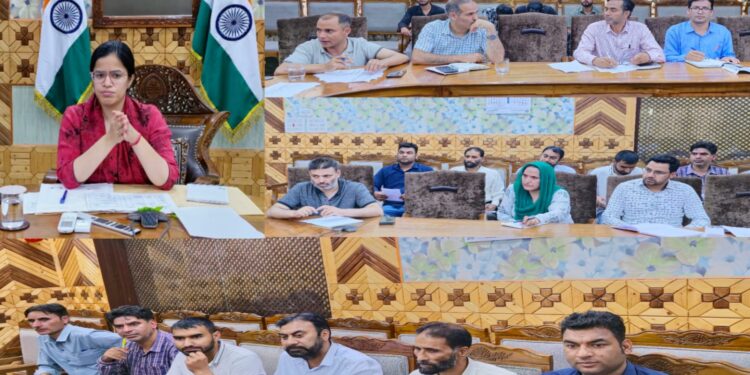 DC Kupwara reviews progress in implementation of PM Vishwakarma Scheme