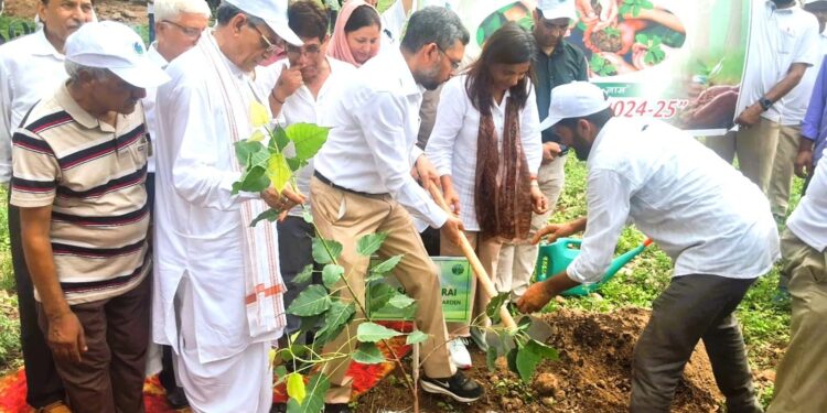 Ek Ped Maa Ke Naam: Wildlife Department organises plantation drive at Lakkar Mandi