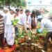 Ek Ped Maa Ke Naam: Wildlife Department organises plantation drive at Lakkar Mandi