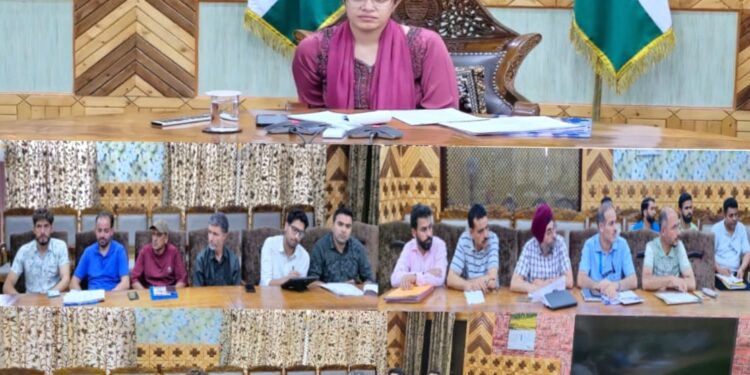 DLC meeting on HADP- Agriculture held at Kupwara, 860 cases approved