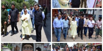 Mandeep Kaur inspects developmental works in Srinagar