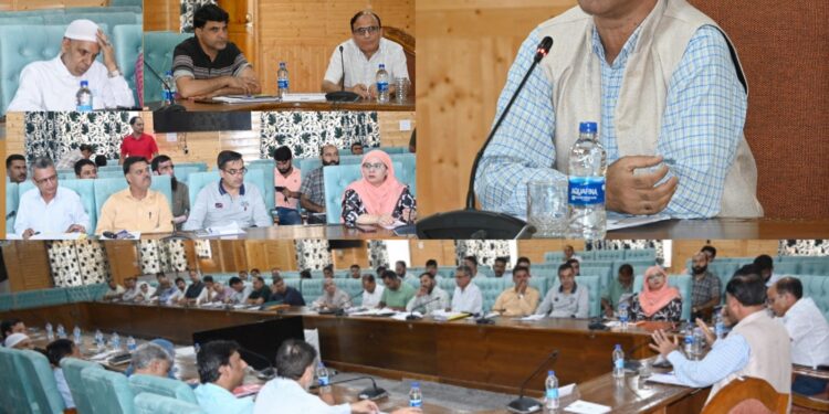 Chairperson, DDC Kulgam reviews progress of works & implementation of various schemes