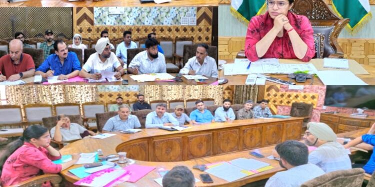 DDC Kupwara chairs DLIC meeting of HADP