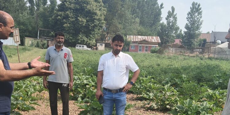 Director Agriculture visits SMF Harran