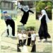 Vibrant Cricket matches, Baseball Selection trials enthuse young Athletes in Ganderbal