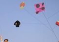 DM Jammu bans sale of plastic, nylon kite flying thread