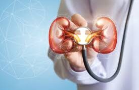 Chronic hypertension may damage kidneys, digestive system: Doctors