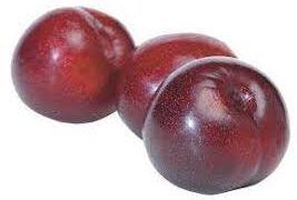 Low price of Kashmiri Plums worries growers, traders