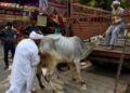 ADM Reasi bans Sale & Purchase of Portable Chain Saw, transportation of Bovine animals