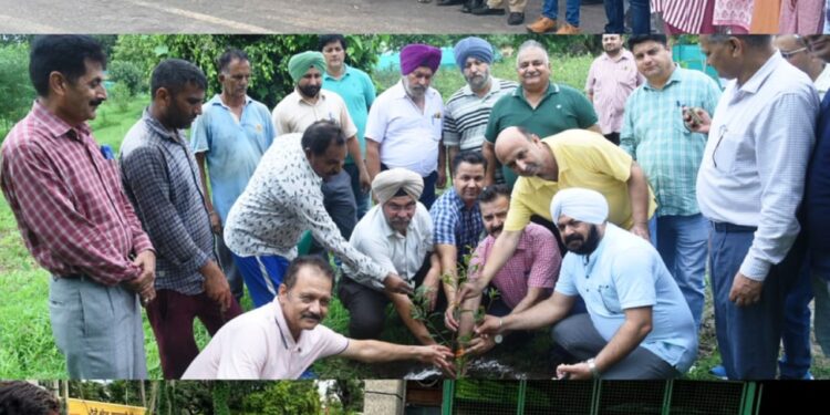 Directorate of Agriculture Jammu Kick-Starts Swachhta Pakhwada-2024 Campaign