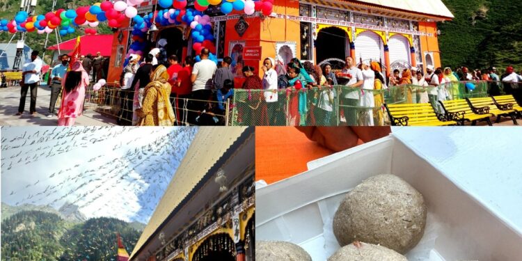 Jau Satoo Ladoo Prasad introduced at Shri Chandi Mata Machail Temple