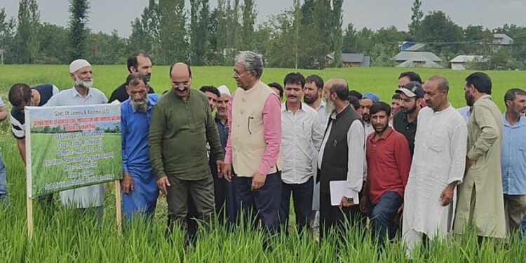 Chairman UT Lavel Apex Committee for HADP visits south Kashmir districts
