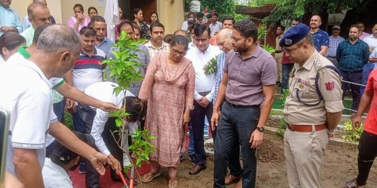 Ek Ped Shaheedon ke Naam