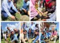Swachhata Pakhwada: JKEDI holds pledge ceremonies, plantation drives