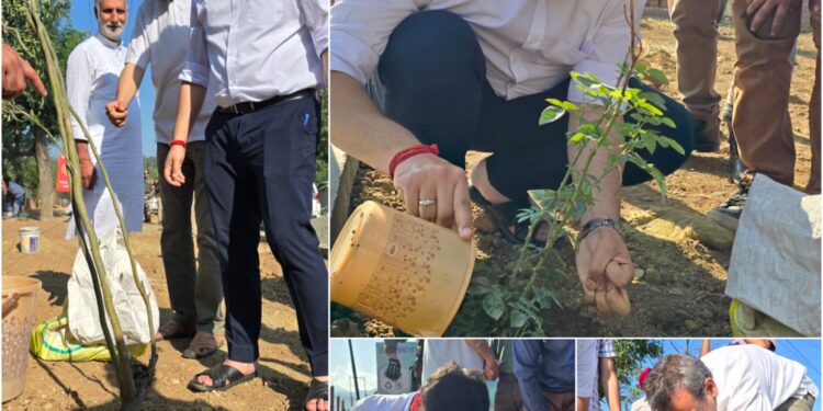 Swachhta Pakhwada: Garbage Yard transformed into Public Park at NH Baramulla