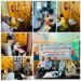 DLSA Srinagar organizes Oral Health Awareness & Treatment Camp at Harwan, Srinagar