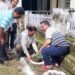 DDC Chairperson participates in plantation drive at Udhampur