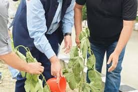 Agri Dept Kashmir rebuts news item ‘Incidence of some diseases in the paddy fields of village Amirabad Tral’
