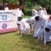 GDC Ramgarh organises cleanliness drive