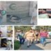 Operation of 04 Medical sale establishments disallowed at Mir Bazar Anantnag