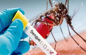 J&K reports 39 dengue cases, authorities urge preventive measures